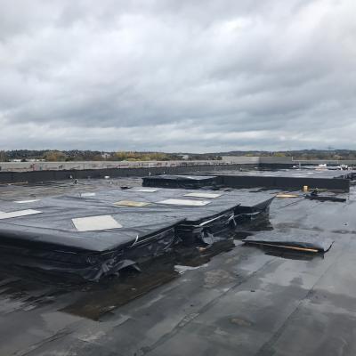 Roof And Rooflights Protected From Elements
